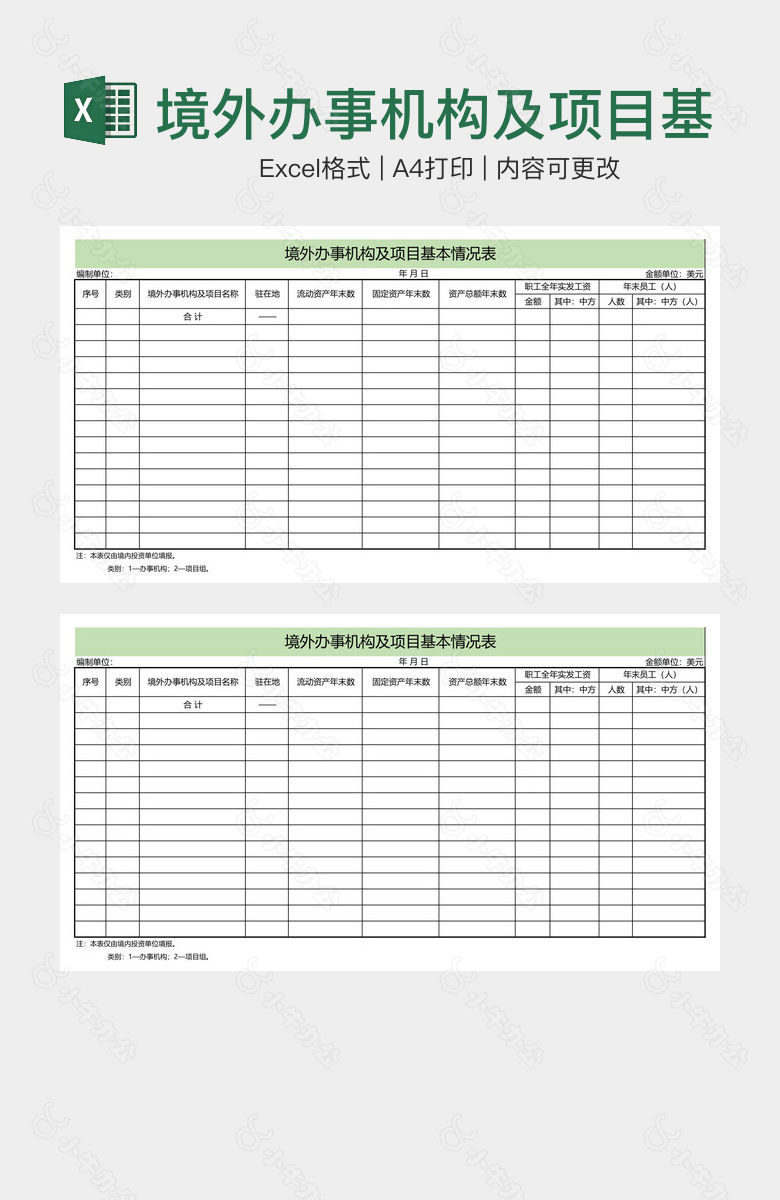 境外办事机构及项目基本情况