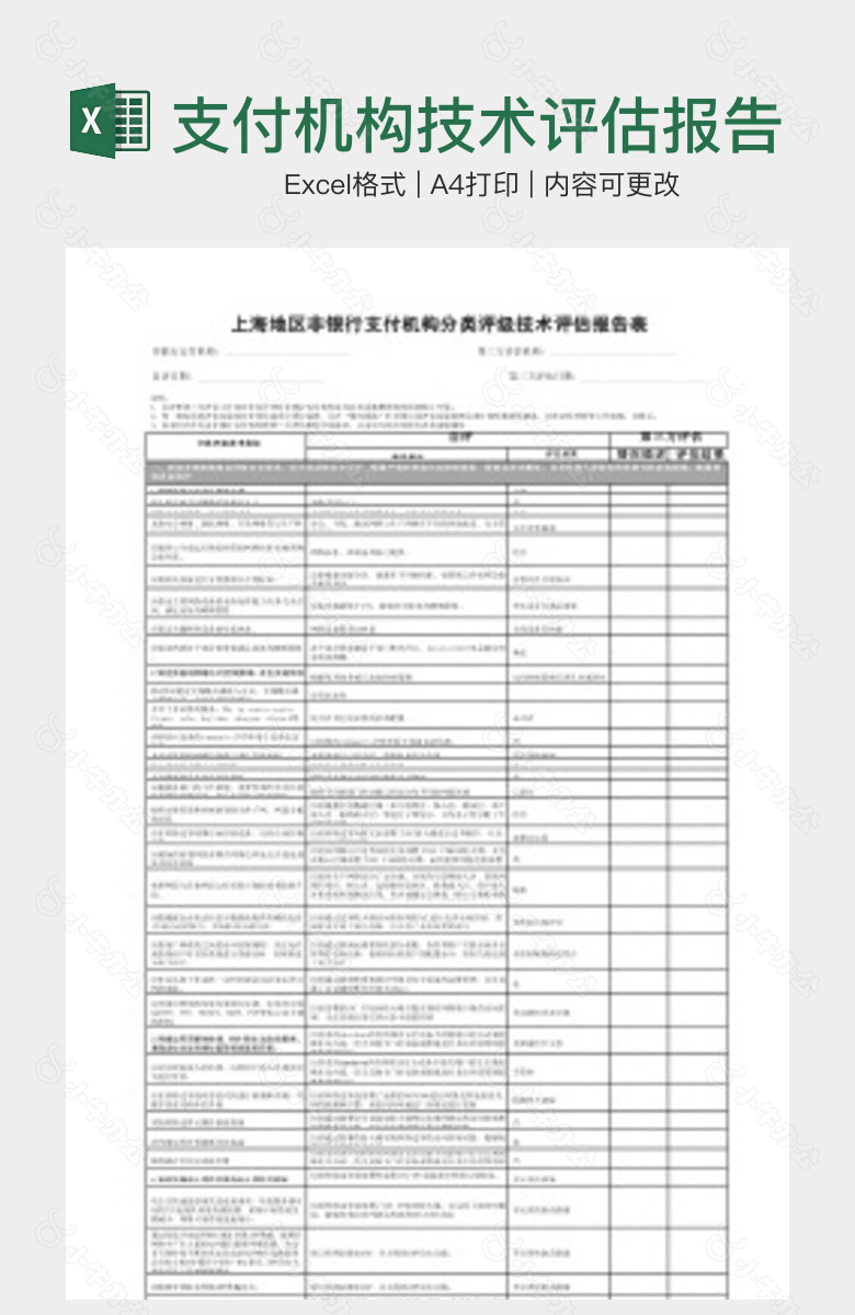 支付机构技术评估报告表