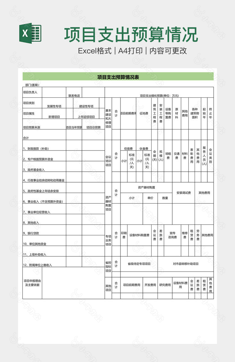 项目支出预算情况