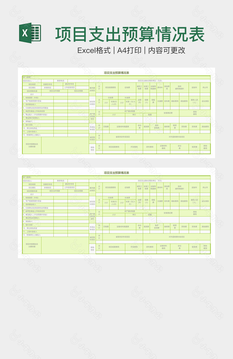项目支出预算情况表