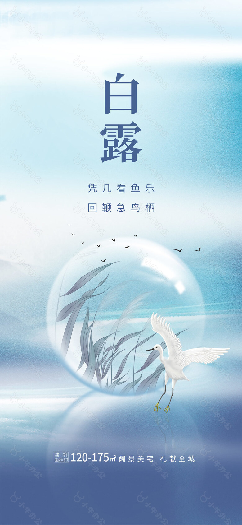 凭几看鱼乐白露简约质感创意海报