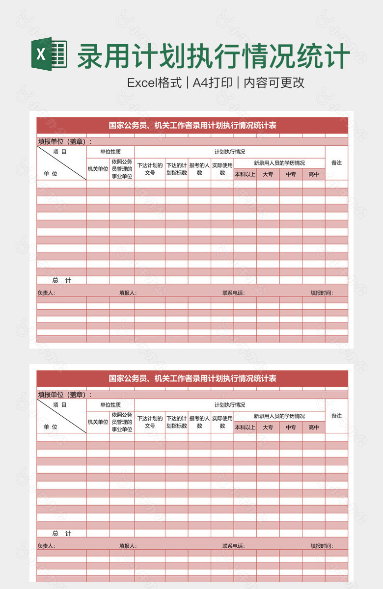 录用计划执行情况统计表