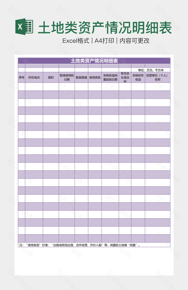 土地类资产情况明细表