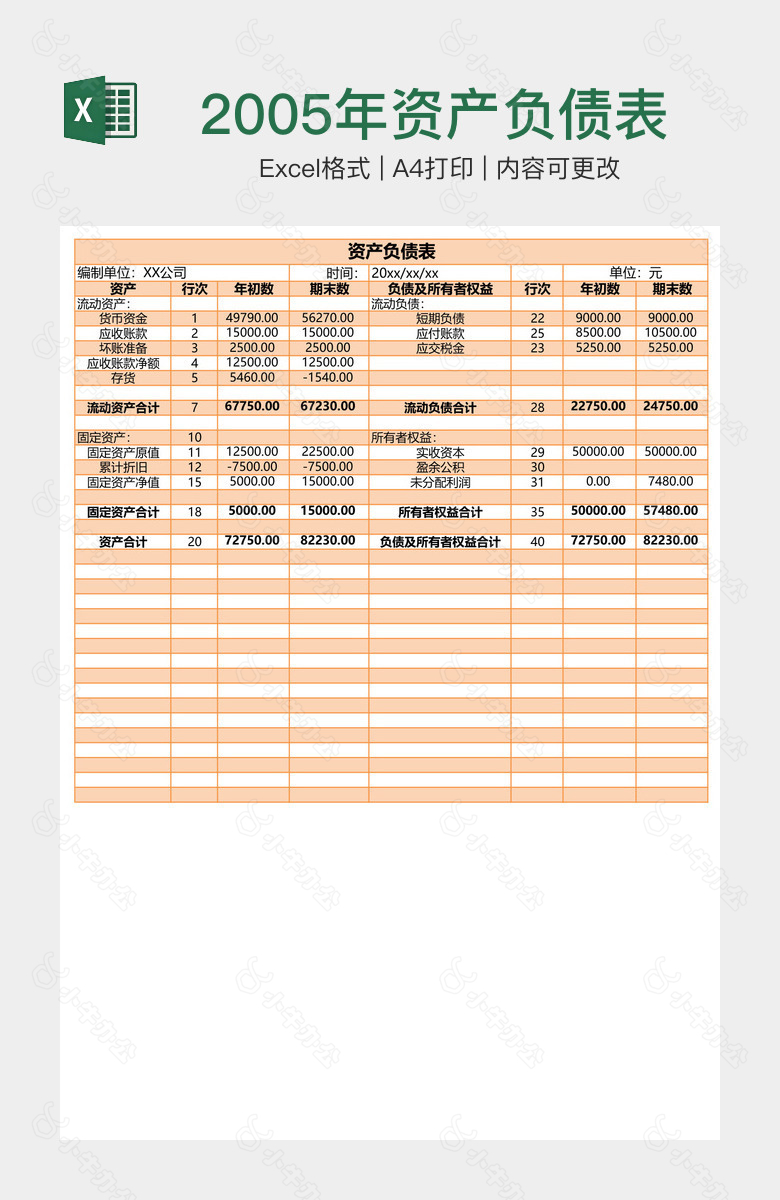 2005年资产负债表