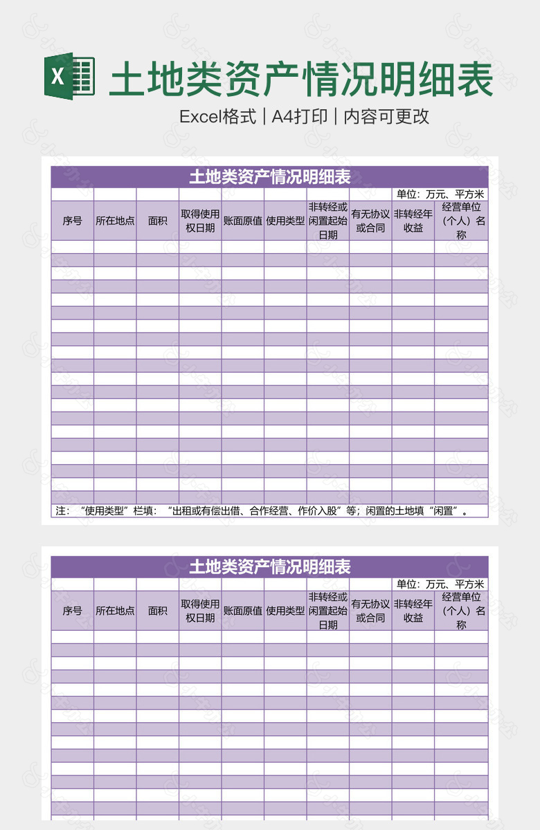 土地类资产情况明细表