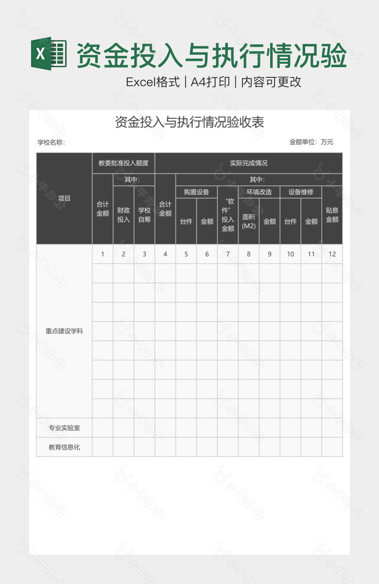 资金投入与执行情况验收表