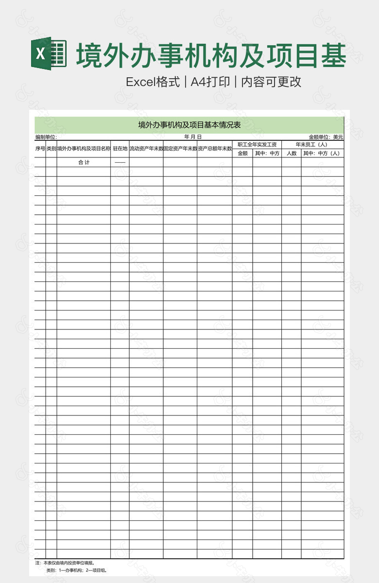 境外办事机构及项目基本情况