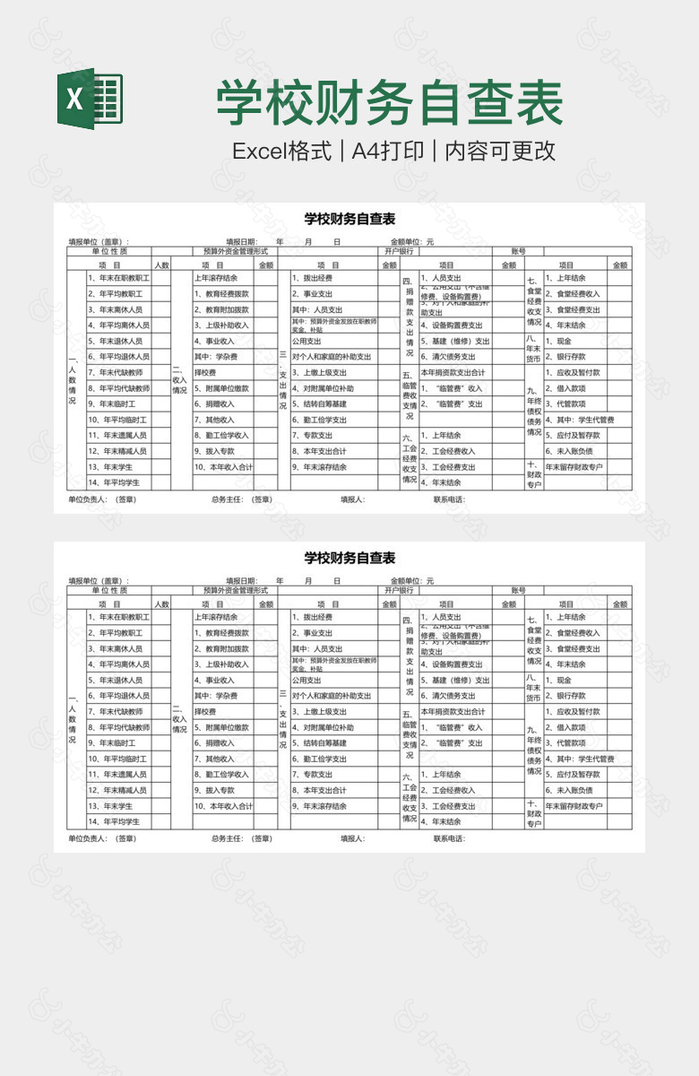 学校财务自查表