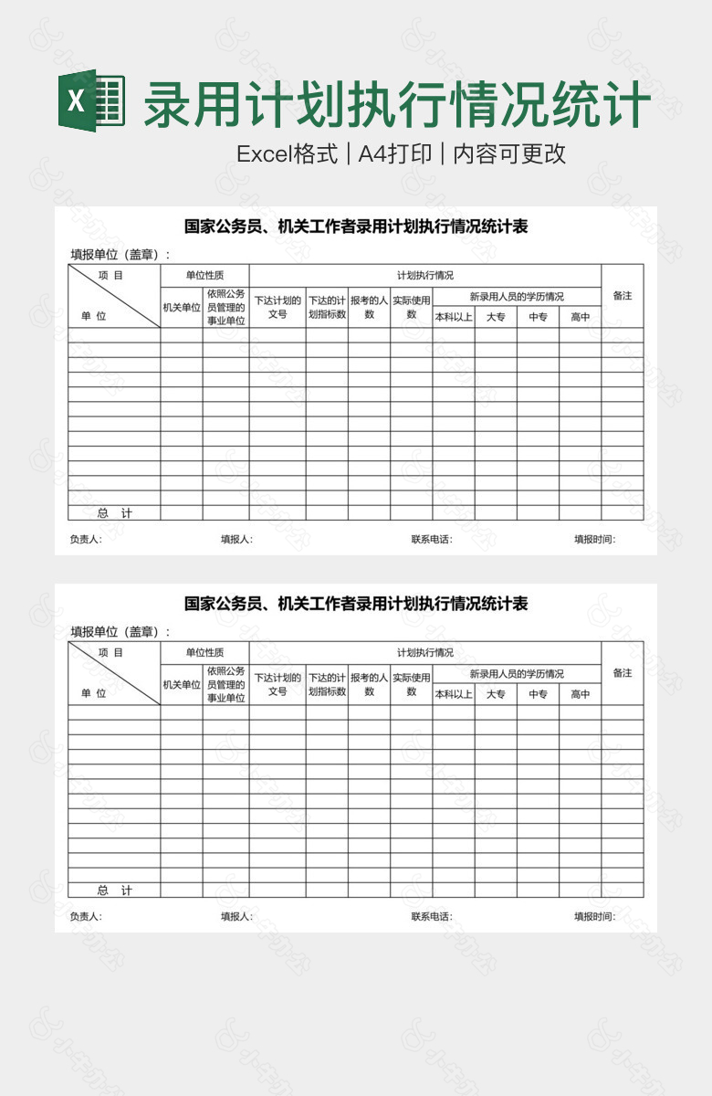 录用计划执行情况统计表