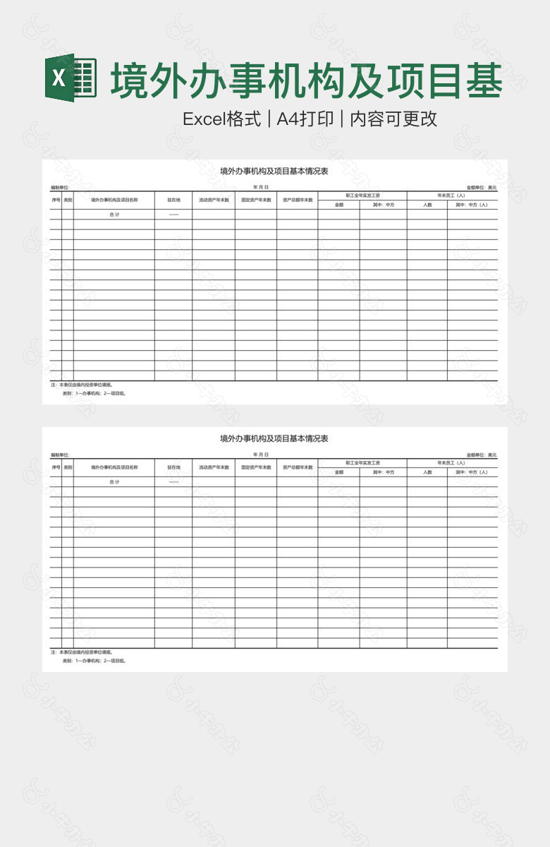 境外办事机构及项目基本情况表