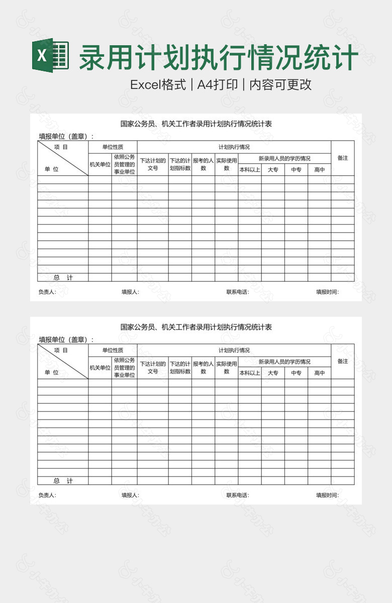 录用计划执行情况统计表