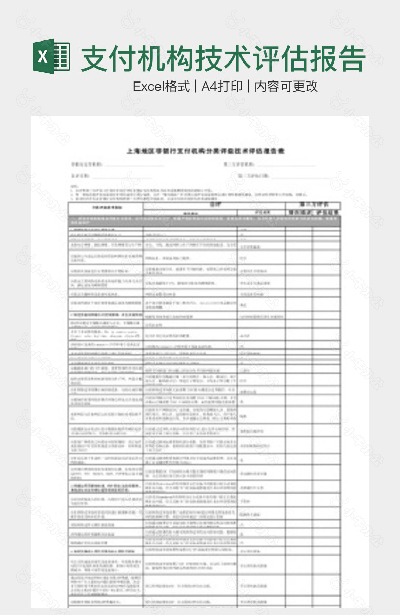 支付机构技术评估报告表