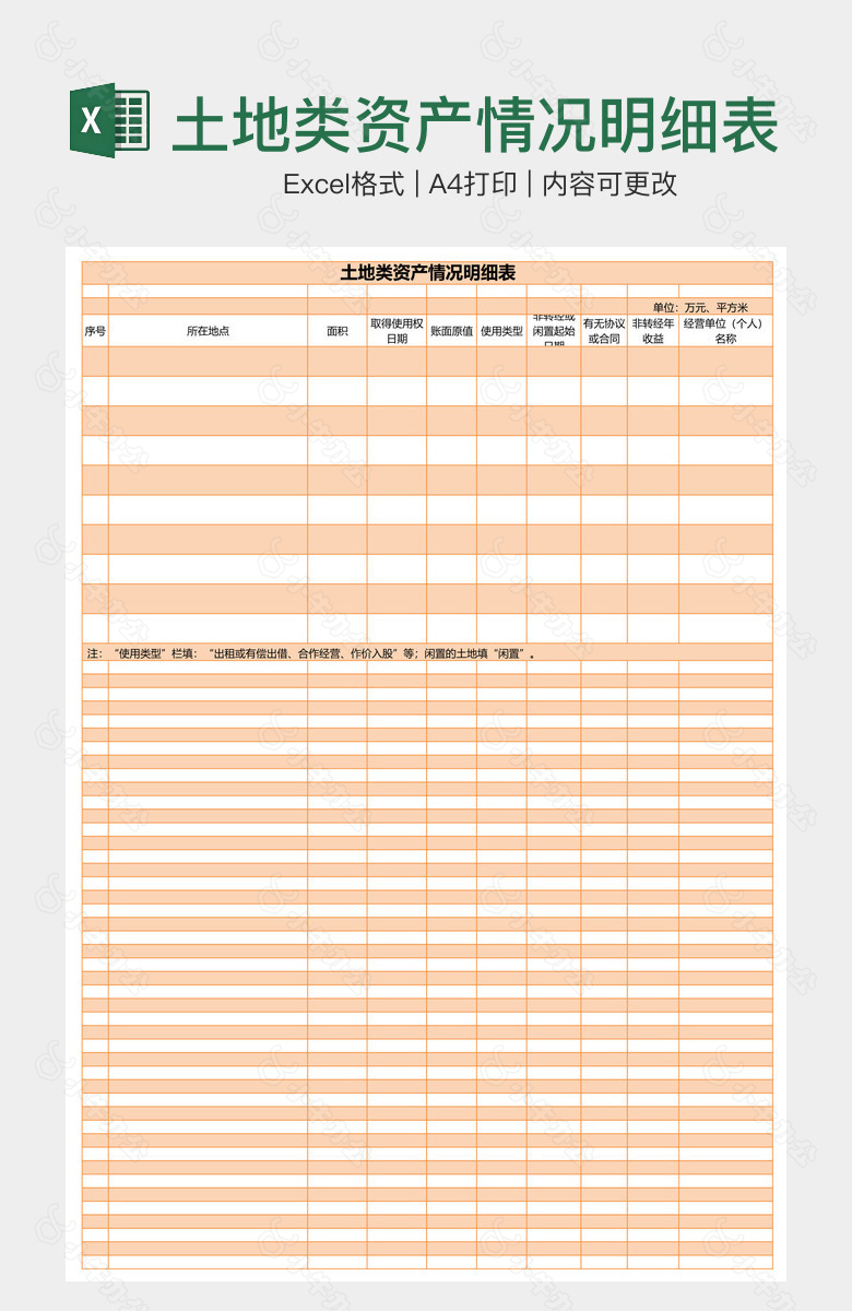 土地类资产情况明细表