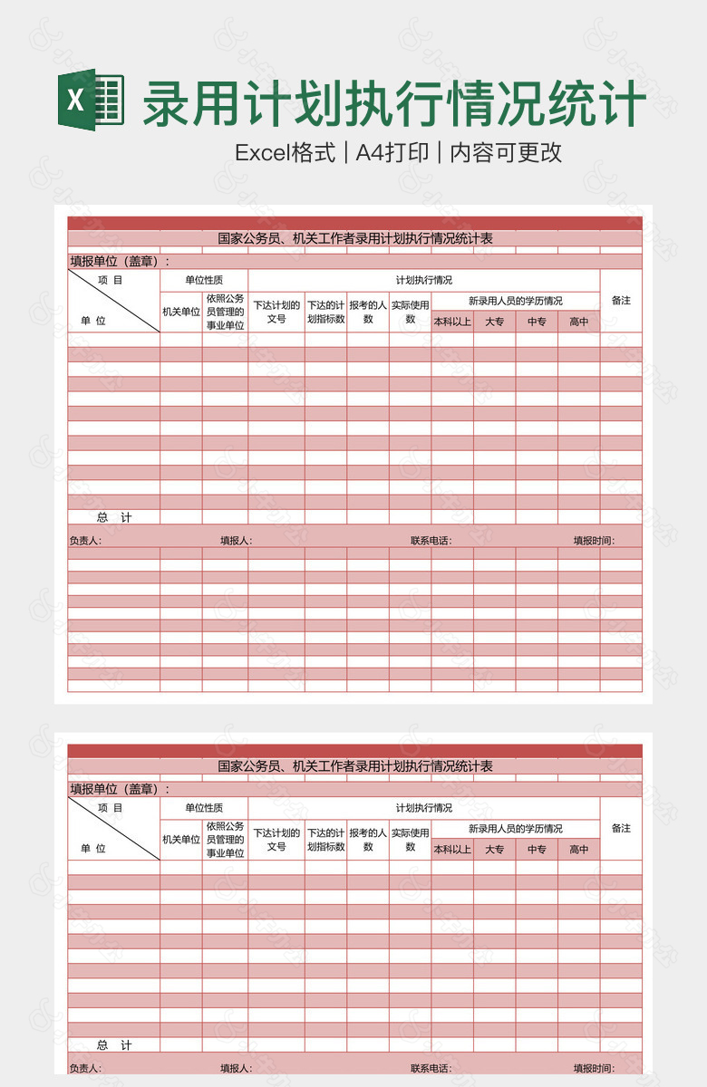 录用计划执行情况统计表