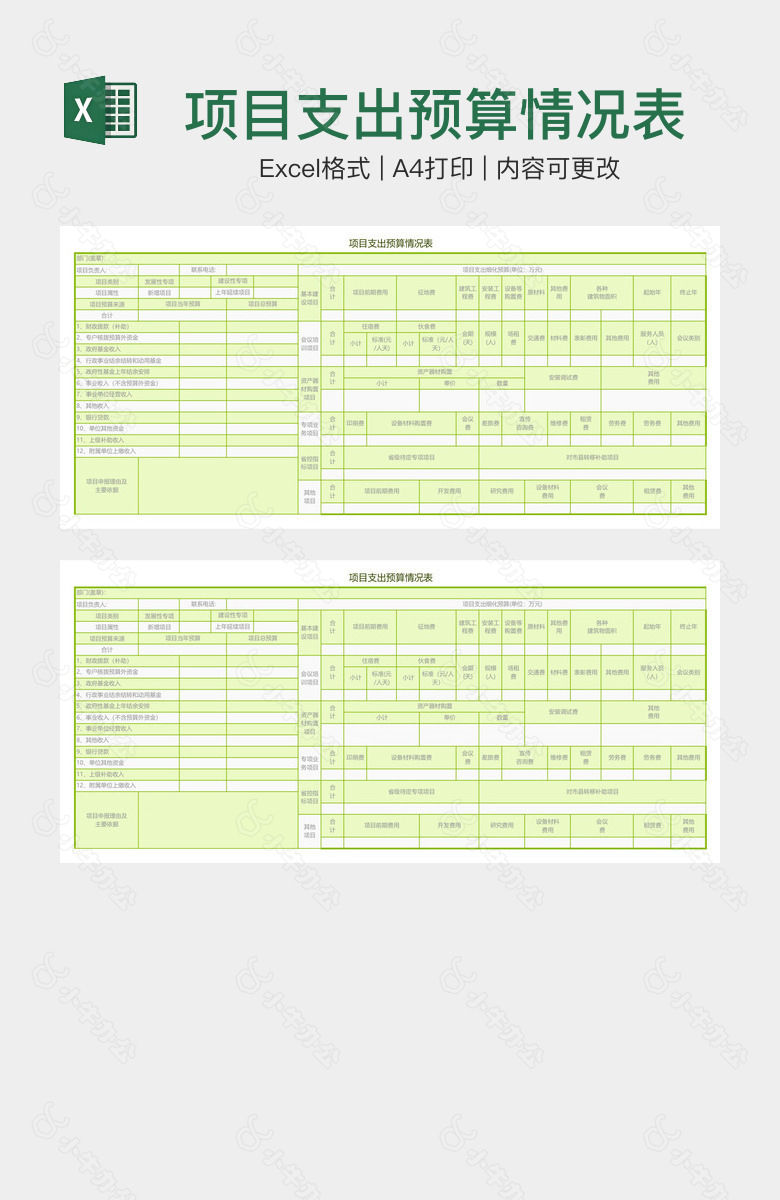 项目支出预算情况表