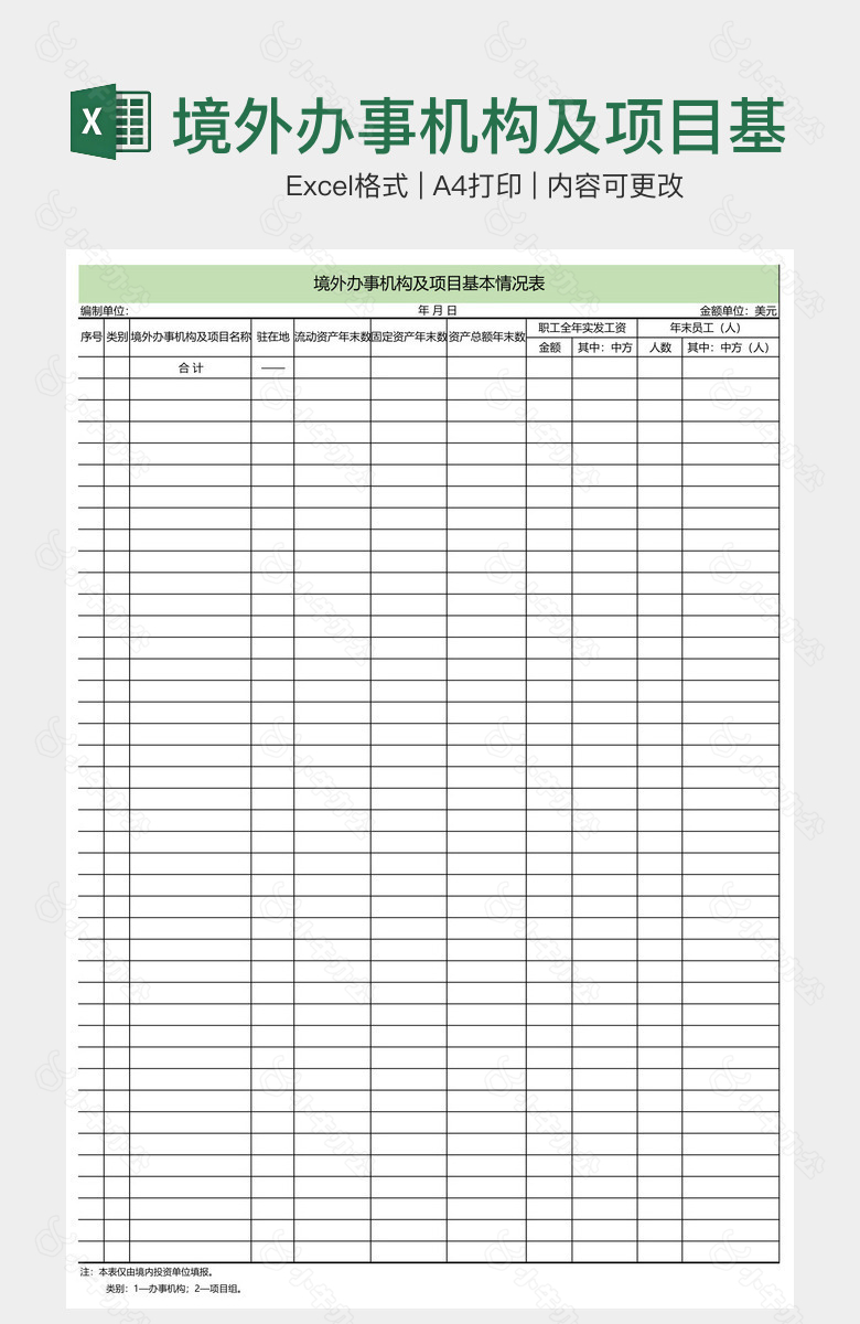 境外办事机构及项目基本情况