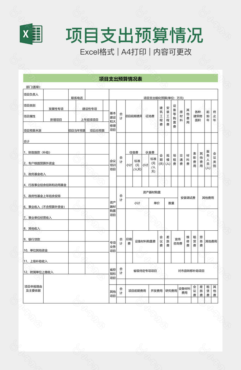 项目支出预算情况