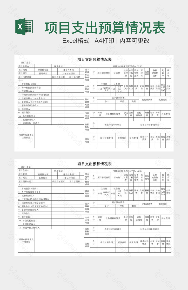 项目支出预算情况表