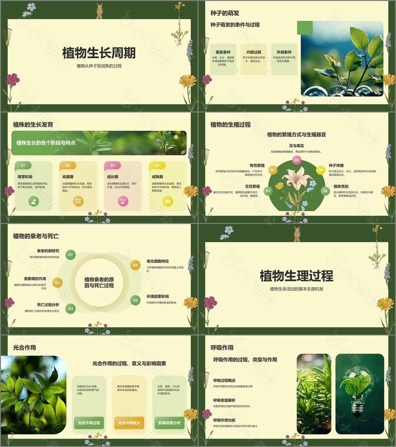 绿色手绘风植物学基础PPT模板no.2