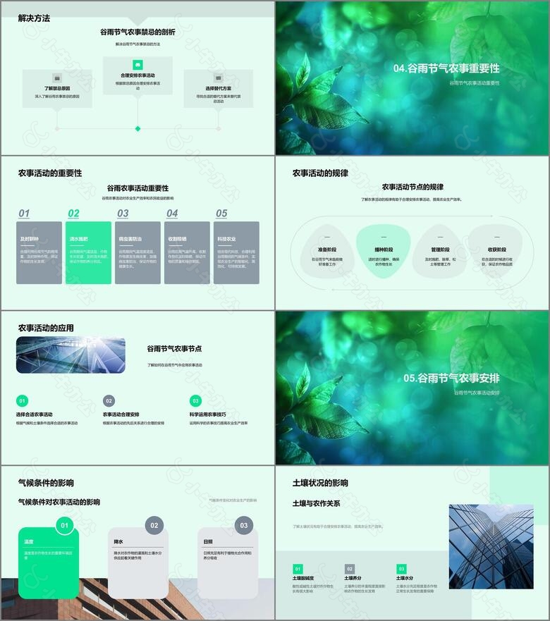 谷雨节气农事知识PPT模板no.3
