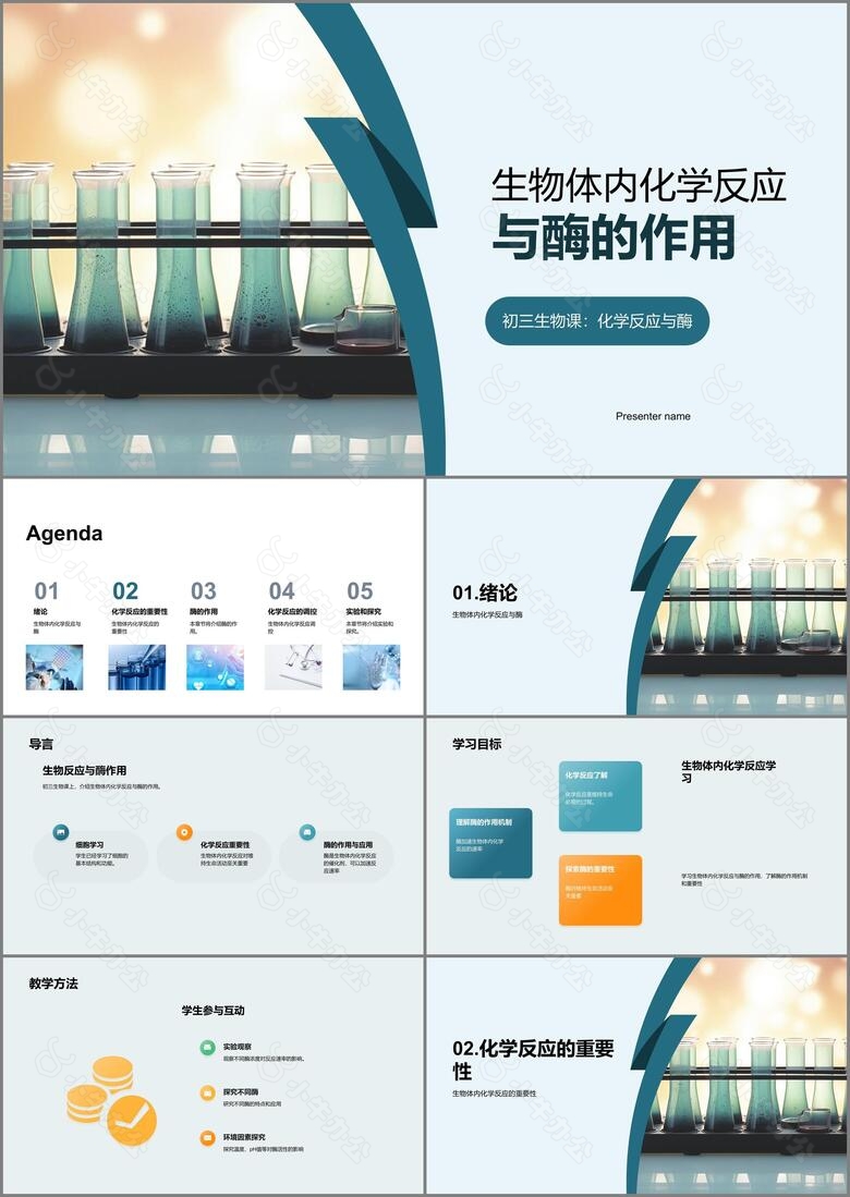 生物体内化学反应与酶的作用