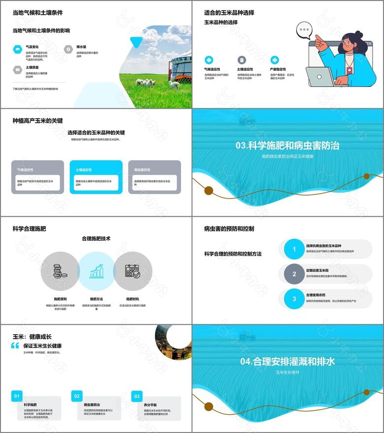 走进科学种植提升玉米产量no.2