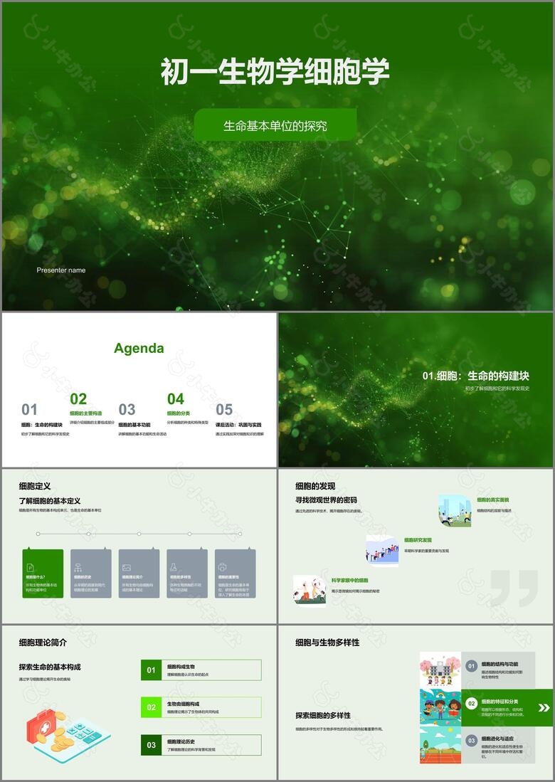 初一生物学细胞学