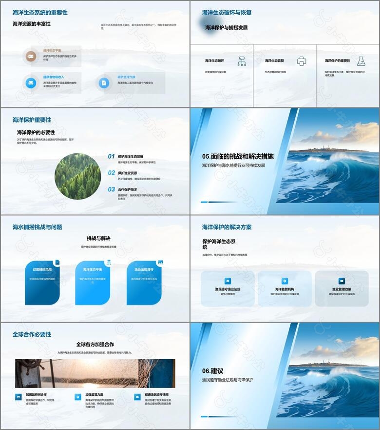 海洋生态平衡挑战与应对no.3