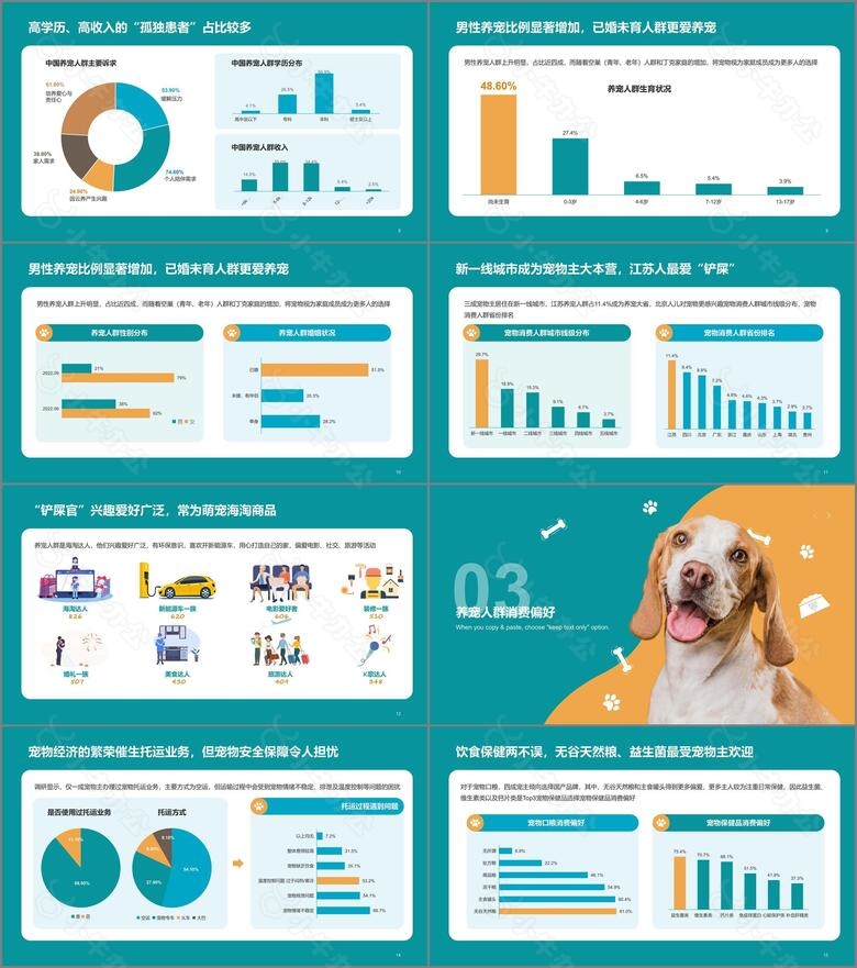 橘色简约2022年宠物消费调研报告no.2