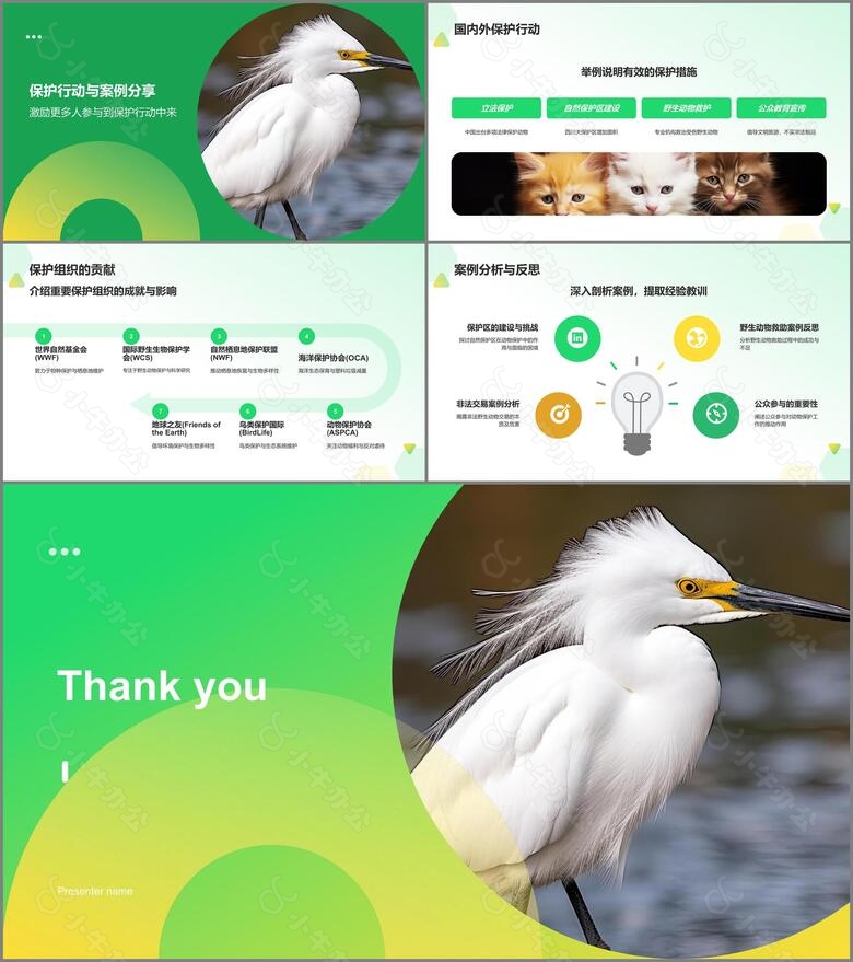 绿色摄影风动物保护知识科普PPT模板no.3