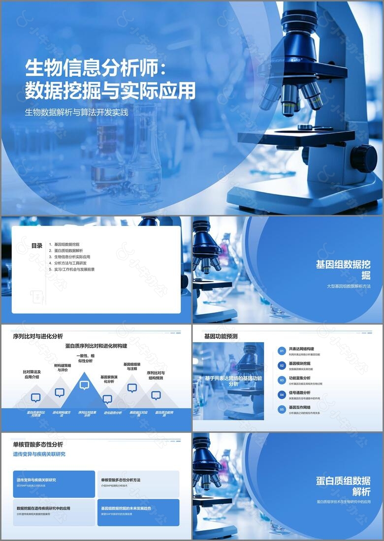 生物信息分析师