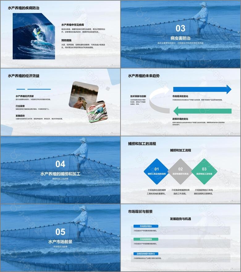 蓝色现代商务水产养殖技术科普PPT模板no.2