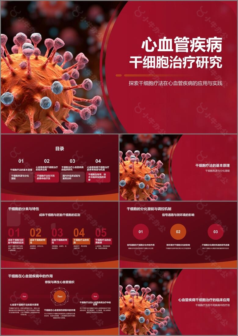 红色摄影风心血管疾病干细胞治疗研究PPT模板