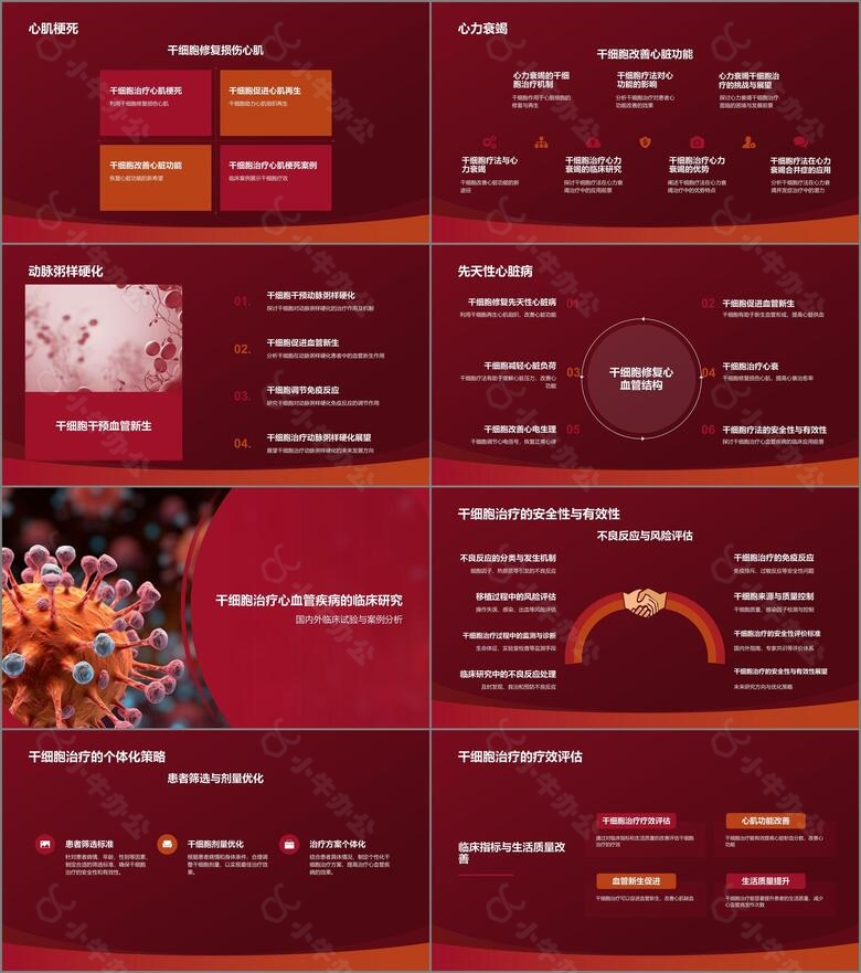 红色摄影风心血管疾病干细胞治疗研究PPT模板no.2