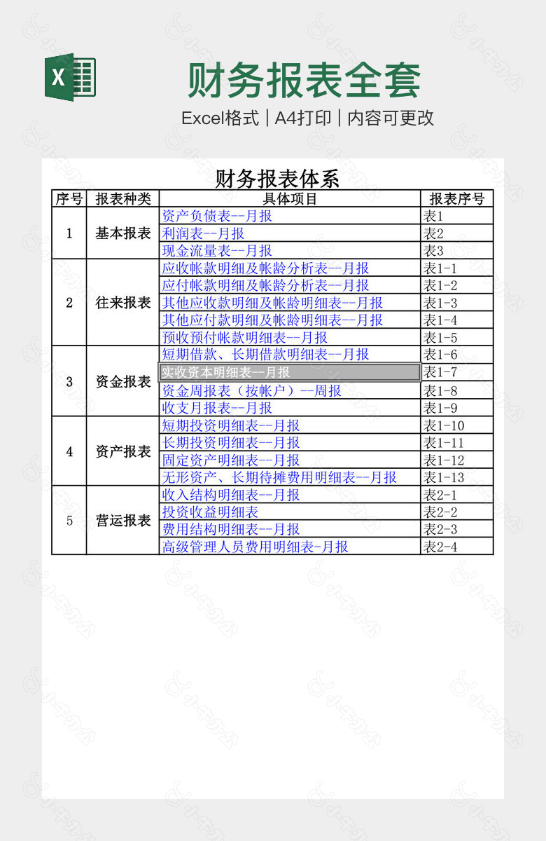 财务报表全套