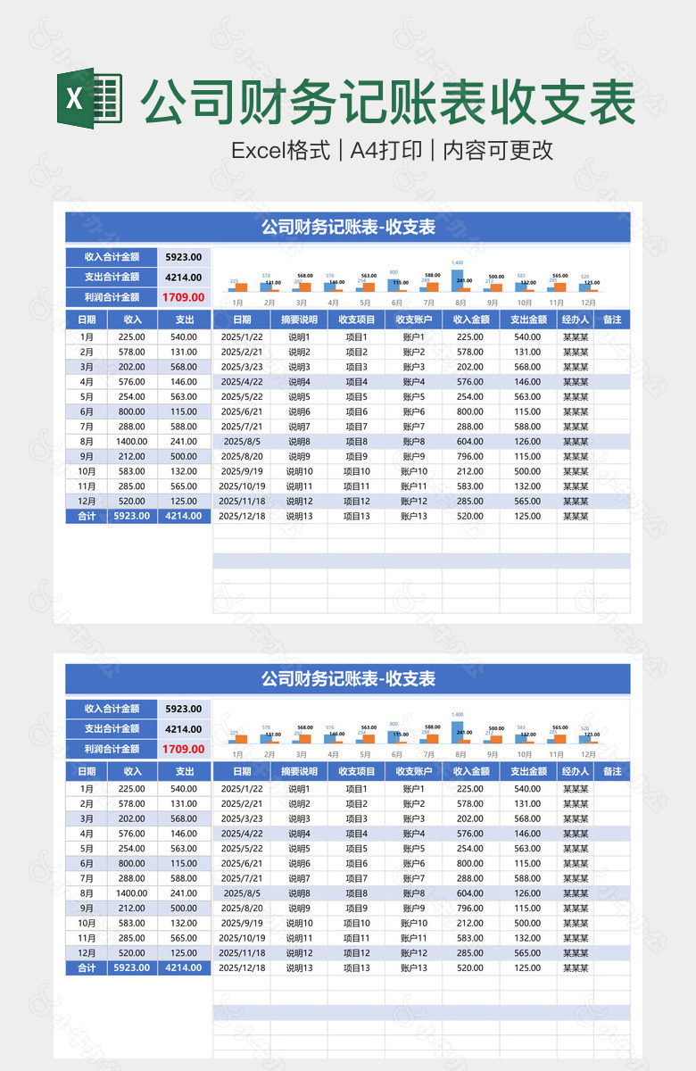 公司财务记账表收支表