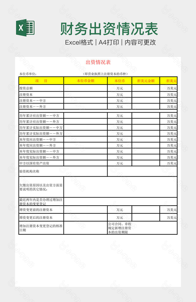 财务出资情况表