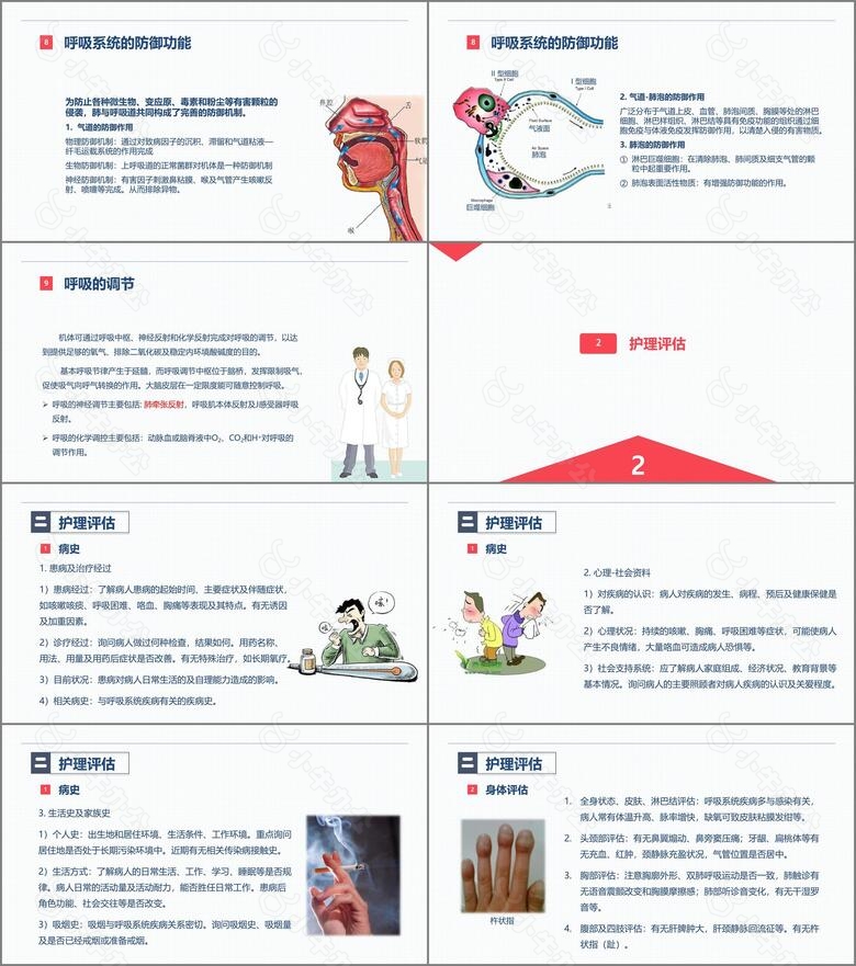 呼吸系统的结构功能与疾病关系no.3