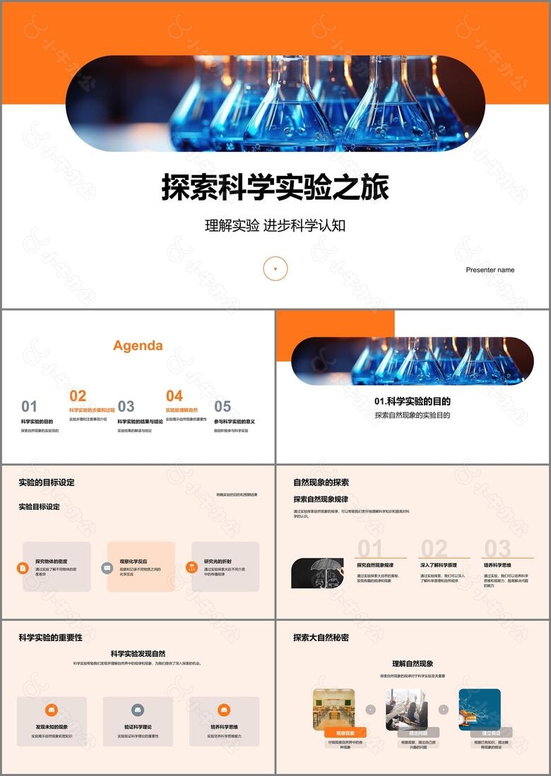 探索科学实验之旅