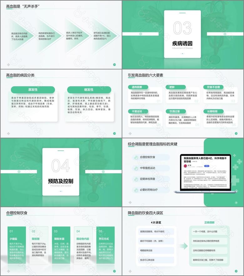 浅绿色医疗风患者高血脂教育PPT模板no.3