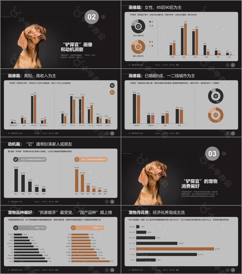 2021年宠物专题研究报告no.2