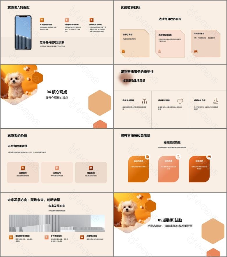 爱心链接宠物收养视界no.3