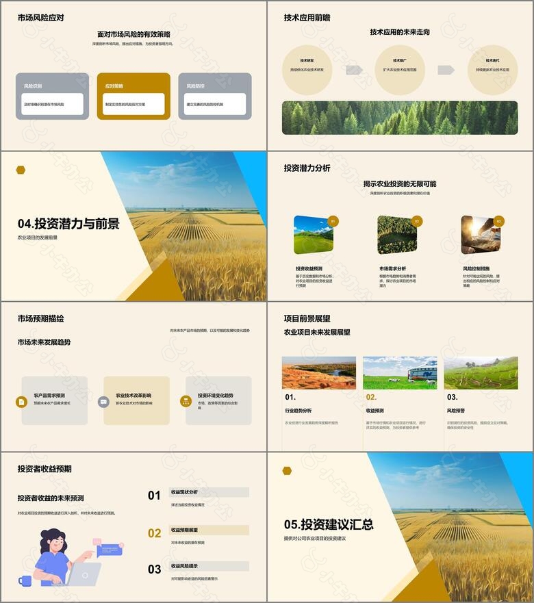 农业投资解析与前景no.3
