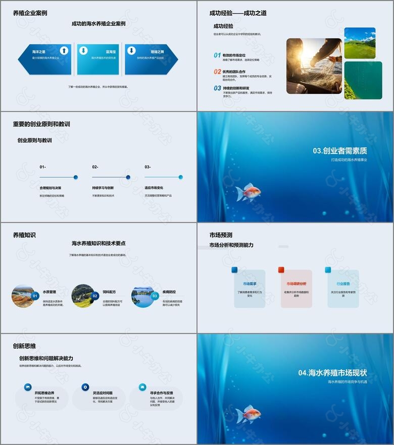 驾掌海水养殖之商业密码no.2