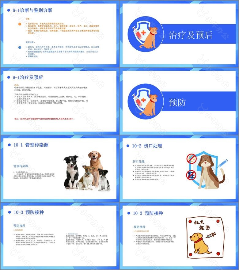 可爱卡通风狂犬病知识科普介绍PPTno.5