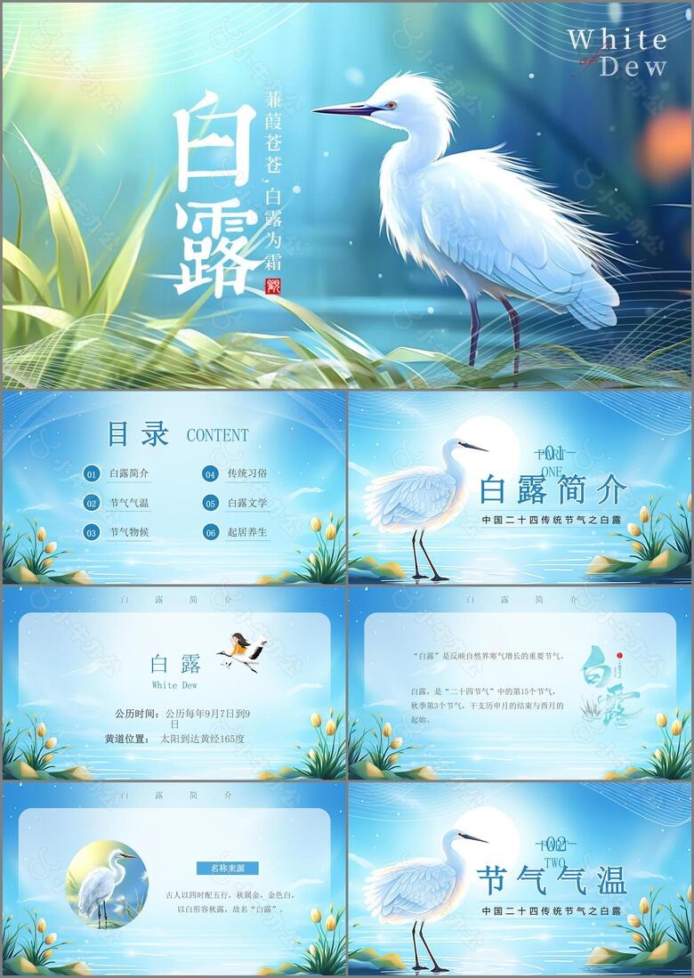 唯美梦幻传统节气白露PPT