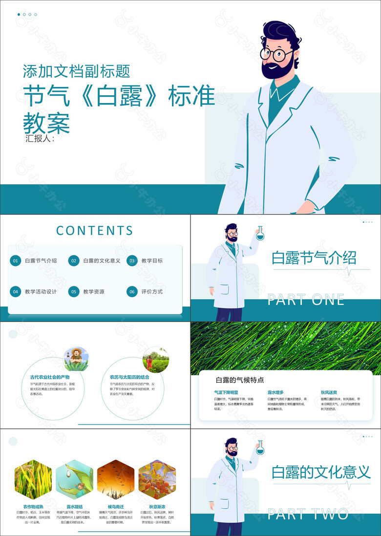 节气白露标准教案