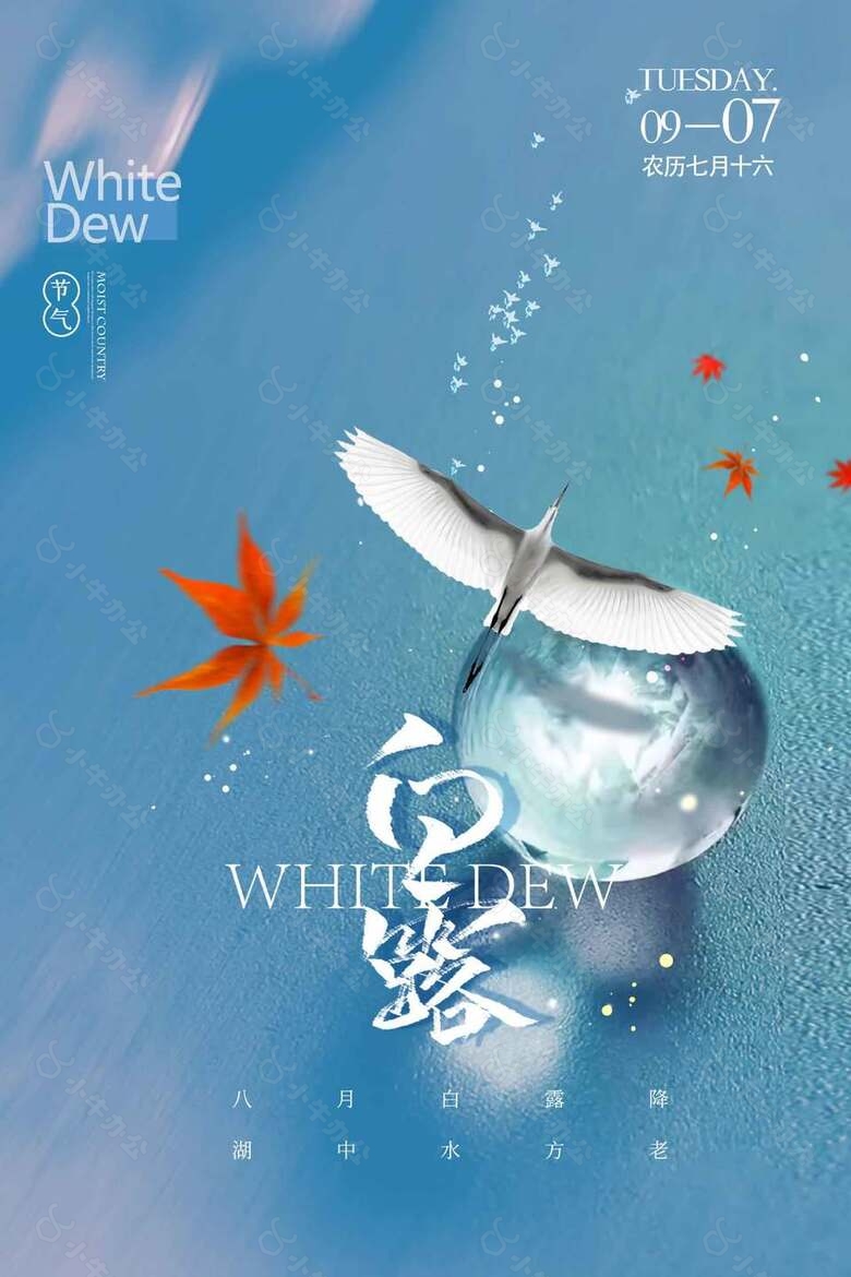 清新简约中国传统白露节气海报